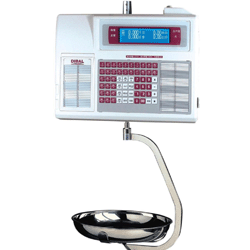 K系列-數(shù)顯吊鉤秤JKK400H